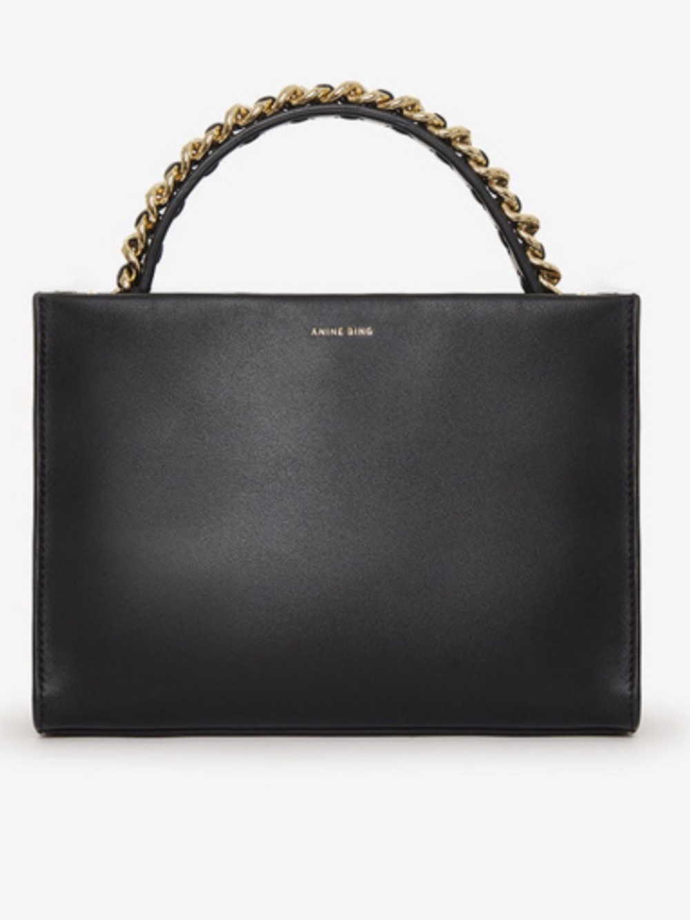 NEW Anine Bing Alexander Bag Handbag